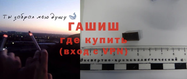 мдпв Богданович