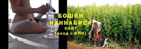 мдпв Богданович