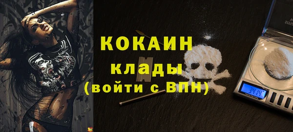 мдпв Богданович